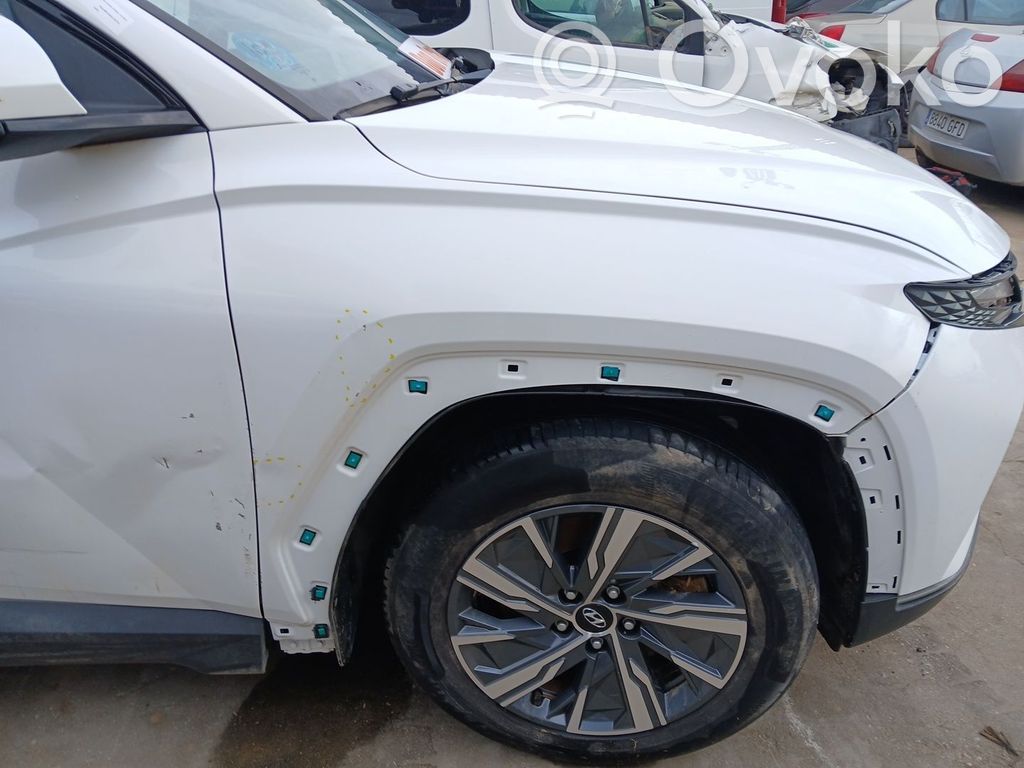 Aripă   66321N9000