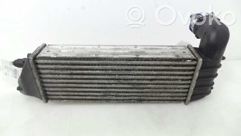 Radiatore intercooler   E256074,E256074