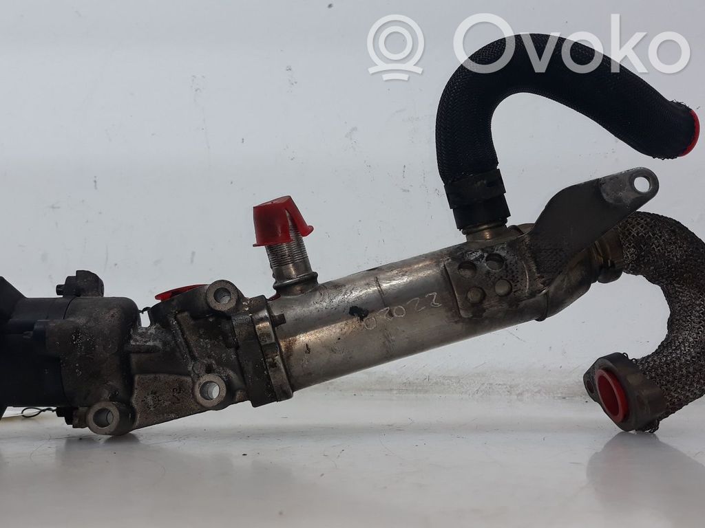 Válvula EGR   1618N6,4U3Q9Y493BJ