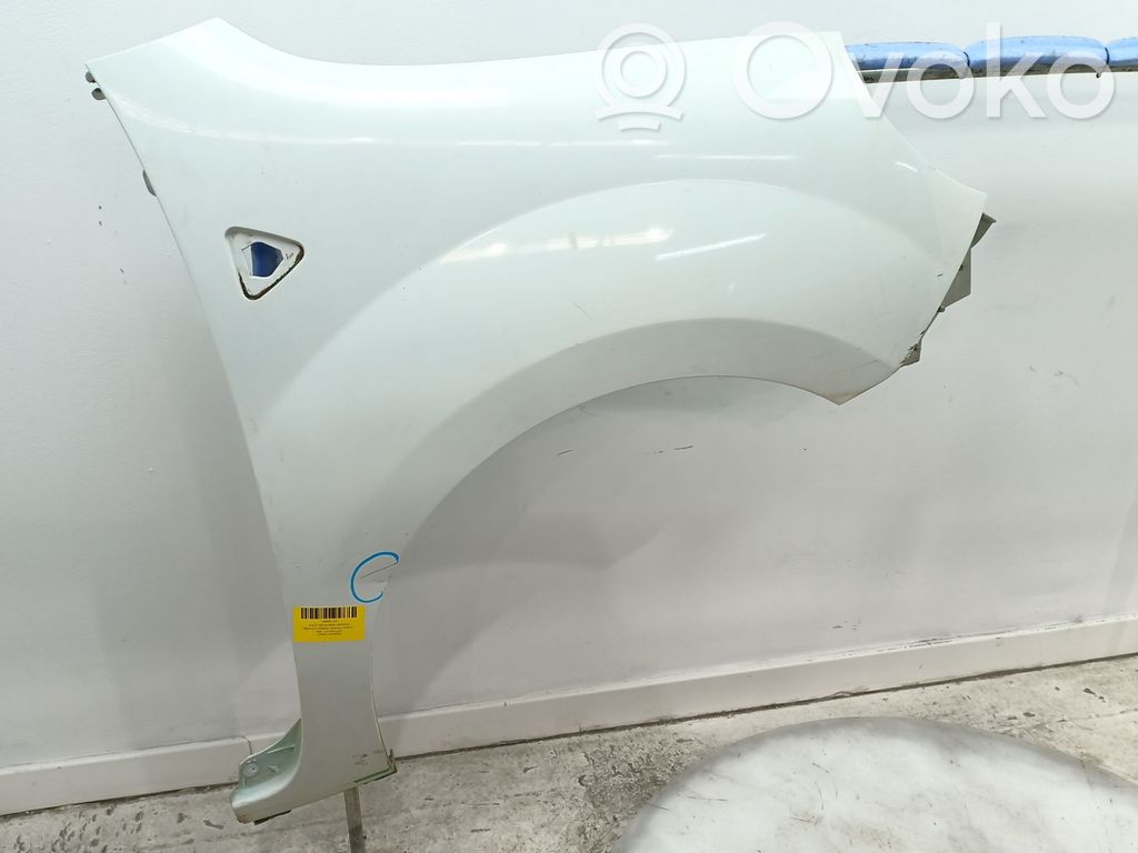 Guardabarro   631009162R,7701478212