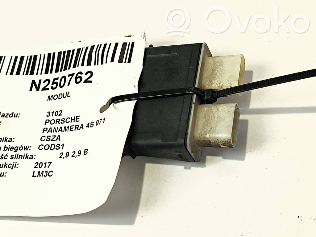 Porsche Panamera (971) Tailgate/trunk control unit/module 