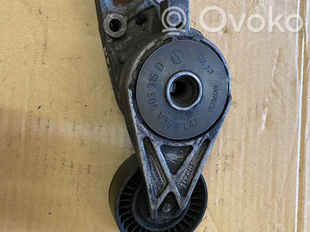 Volkswagen Golf V Napinacz paska alternatora 