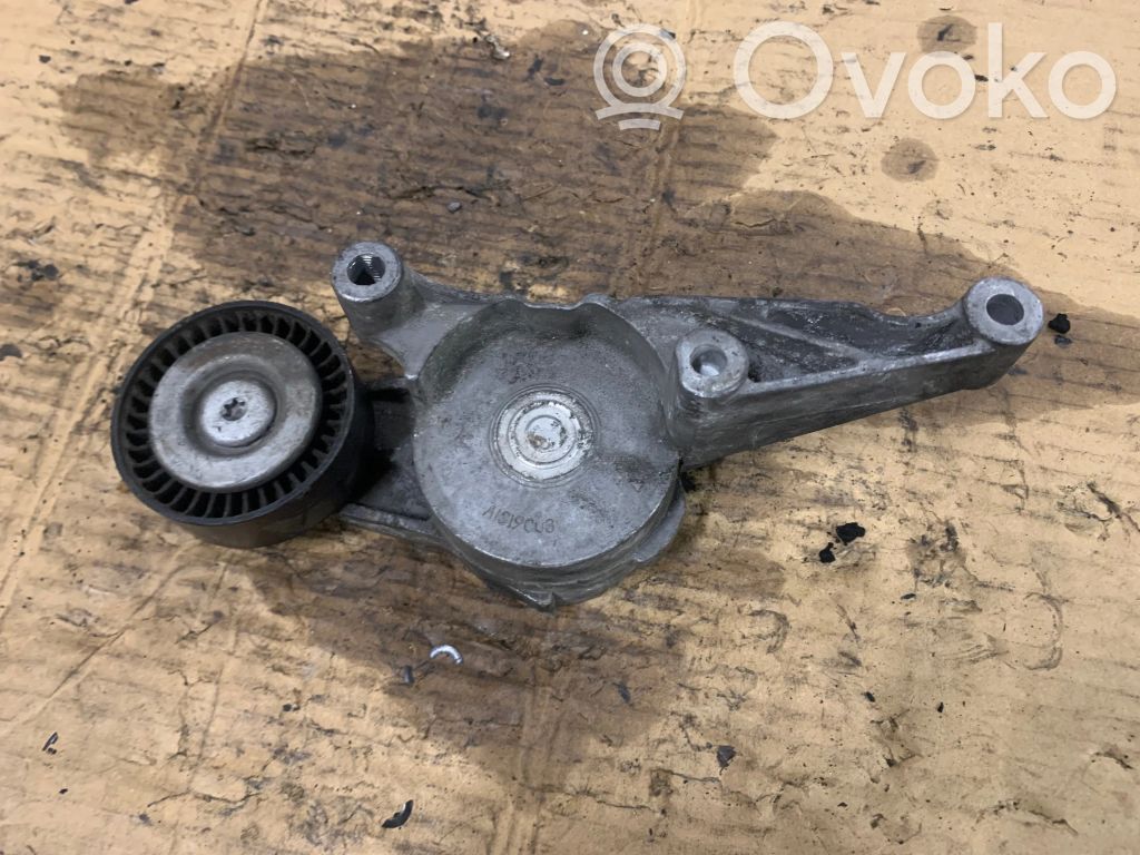 Volkswagen Golf V Napinacz paska alternatora 