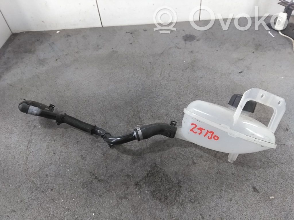 Renault Megane E-Tech Zbiornik wyrównawczy chłodziwa 