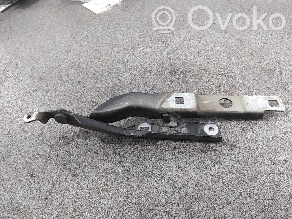 Citroen C4 Cactus Cerniere del vano motore/cofano