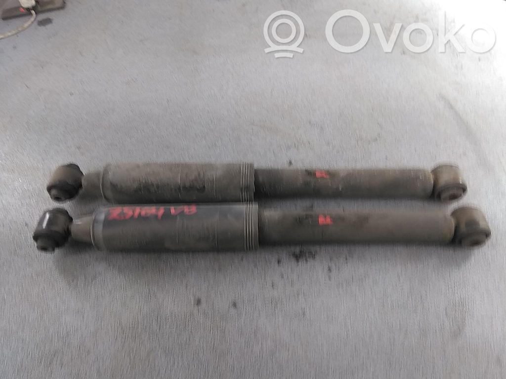 Citroen C3 Ammortizzatore posteriore 