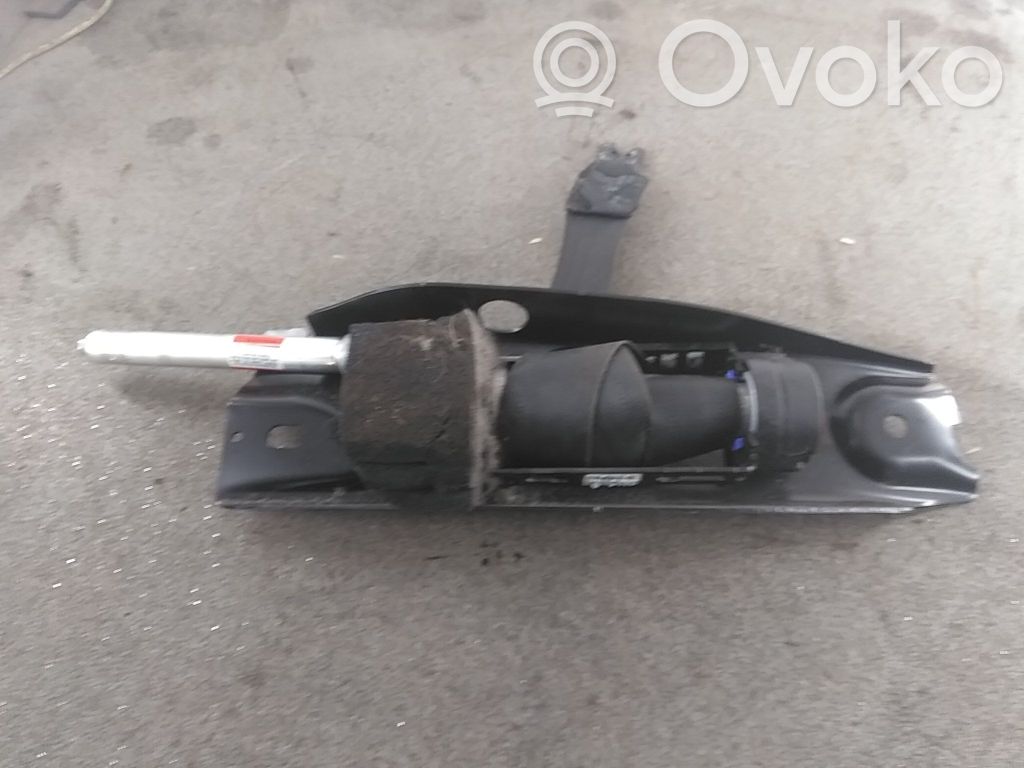 Cinturón delantero   39811479