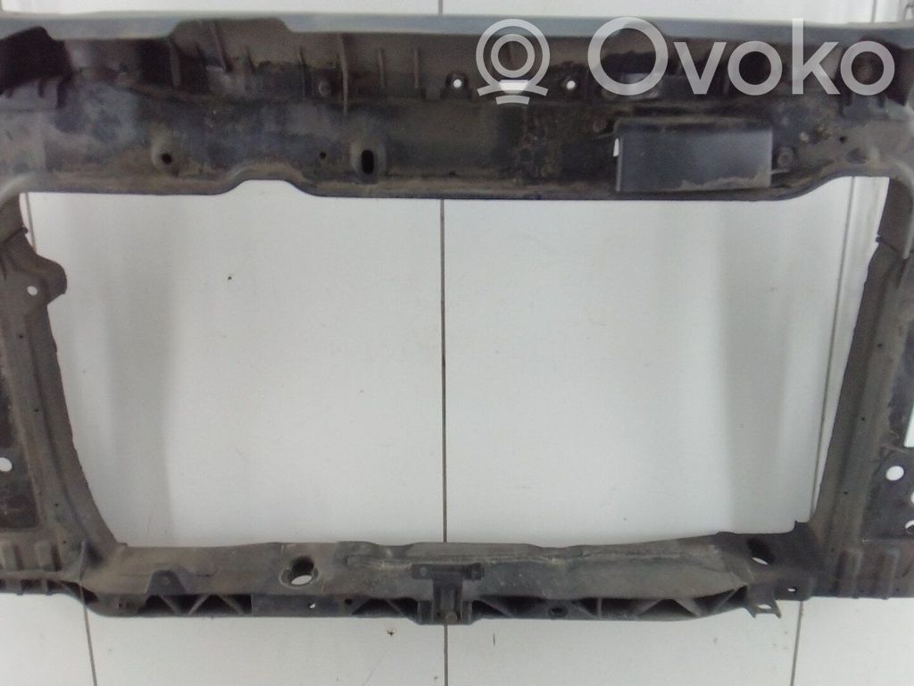 Radiatoru panelis   641011Y000