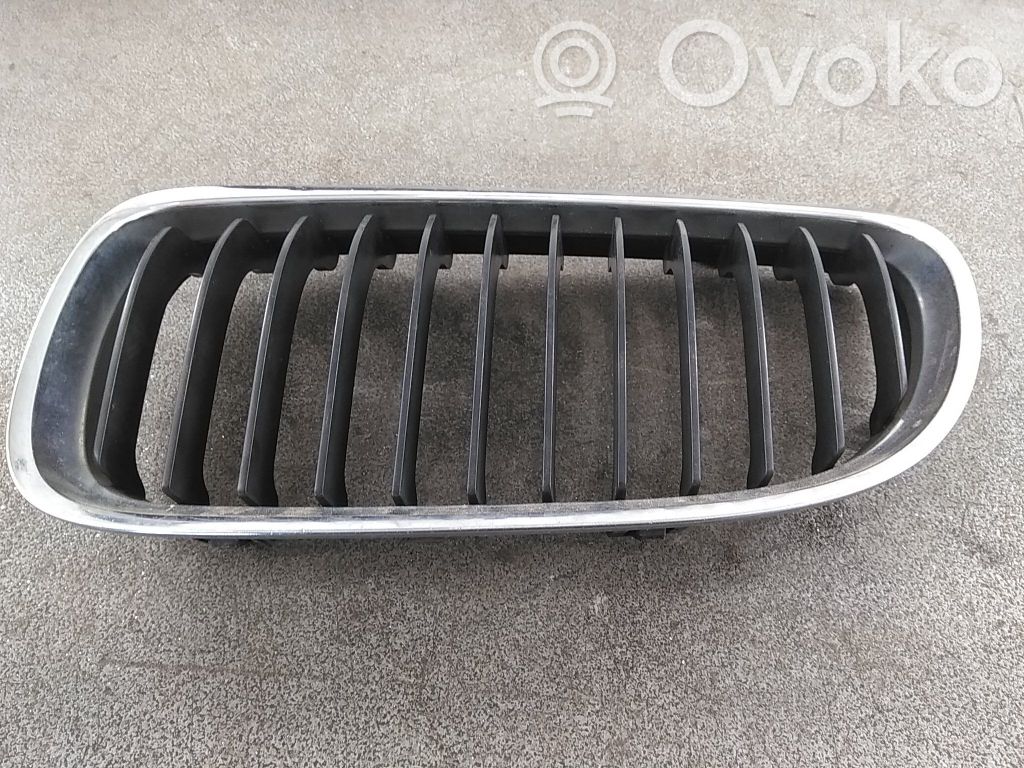Front grill   51137201967
