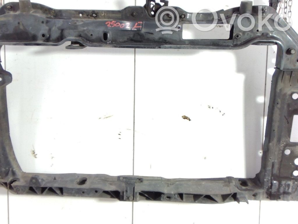 Radiatorių panelė   641011Y000