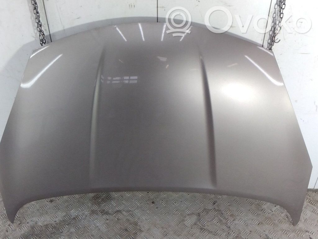 Capó/tapa del motor   F5100BH0MA