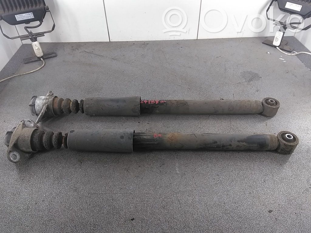 Skoda Rapid (NH) Amortizor spate 