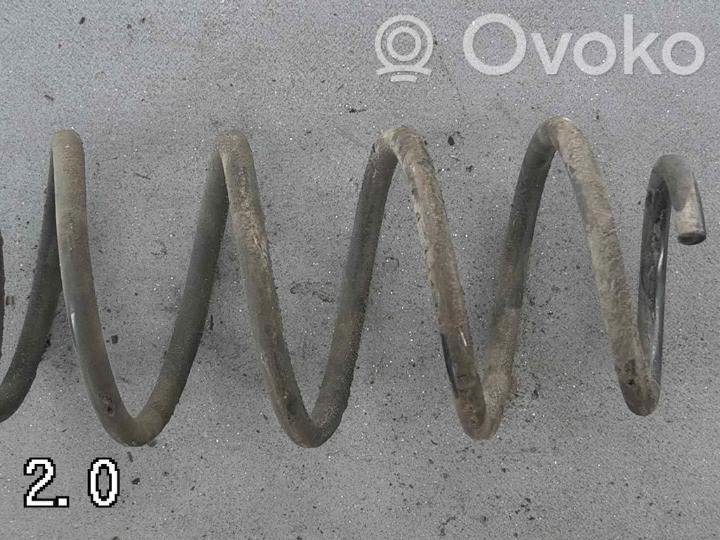 Front coil spring   GJS234011F