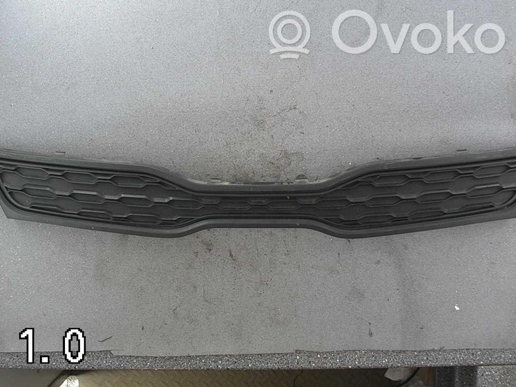 Atrapa chłodnicy / Grill   863511W220