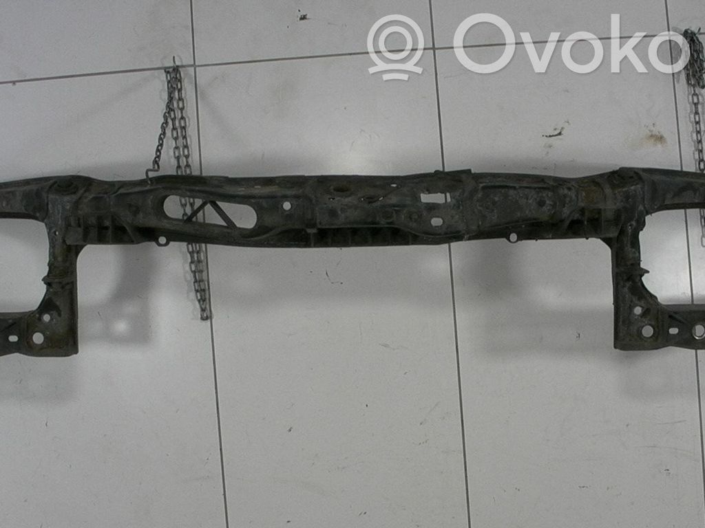 Radiatoru panelis