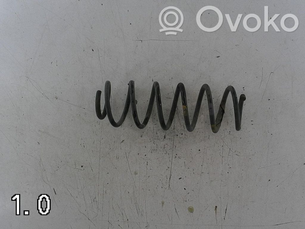 Galinė spyruoklė   5102CZ