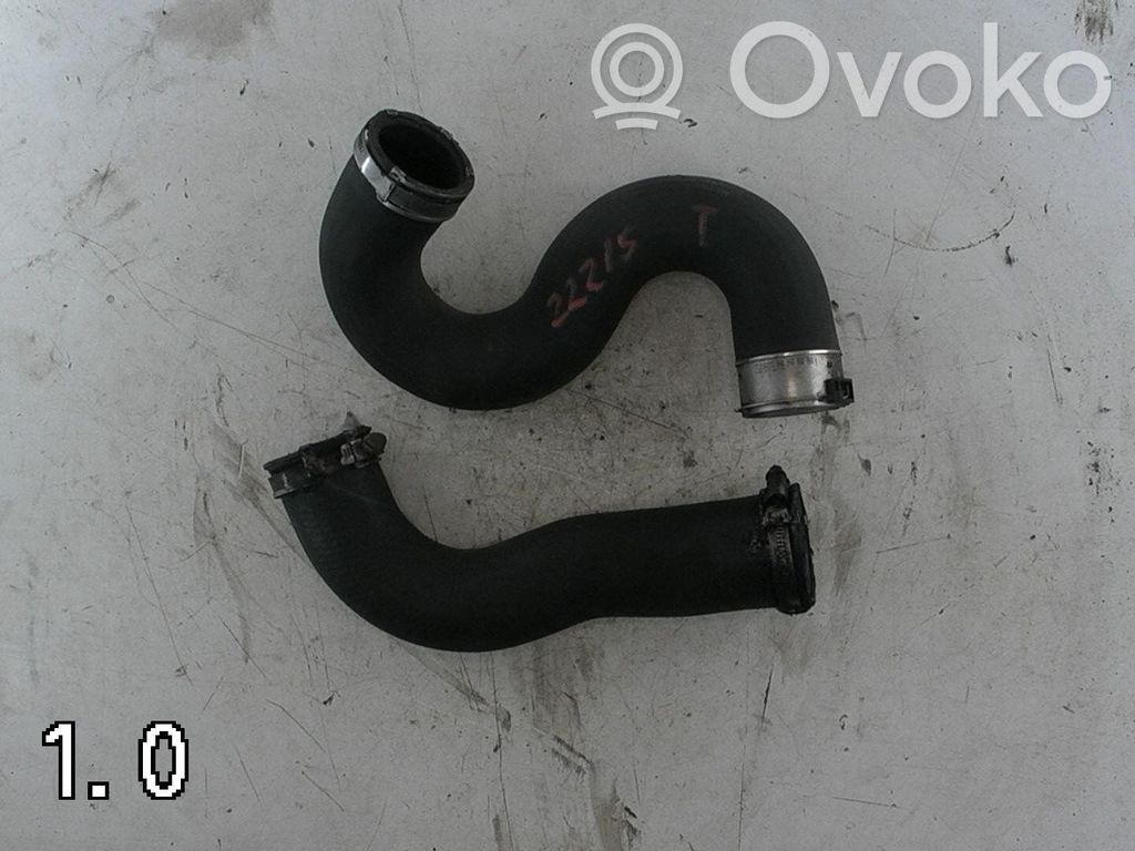 Peugeot Expert Intercooler hose/pipe 
