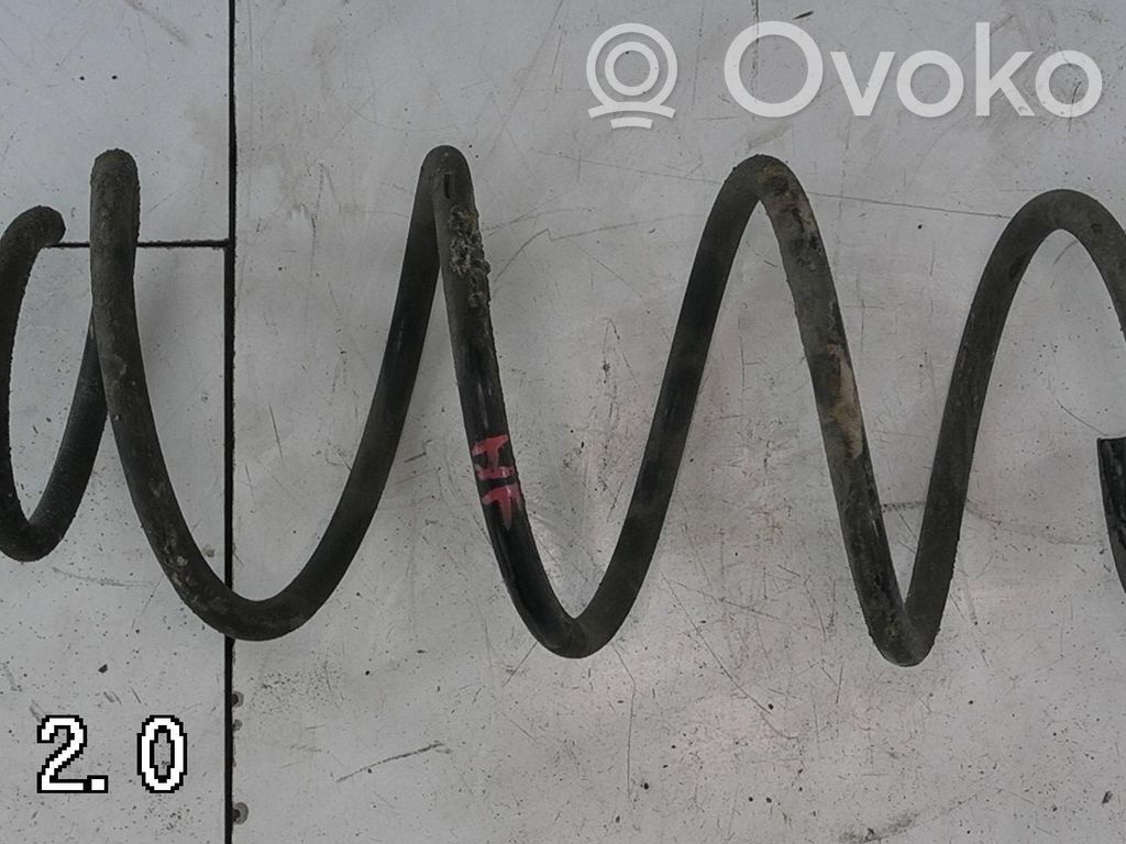 Front coil spring   ENSHVSIDE,DB2D34011B
