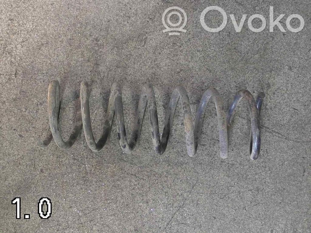 Rear coil spring   1377694