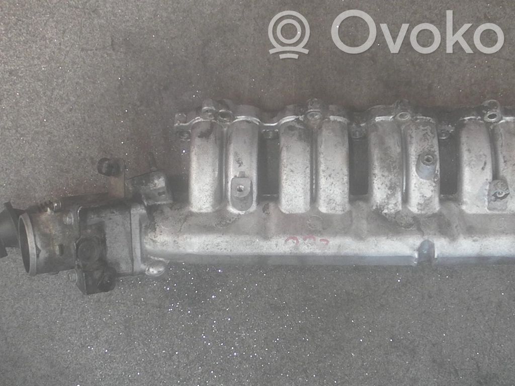 KIA Ceed Kolektorius įsiurbimo 