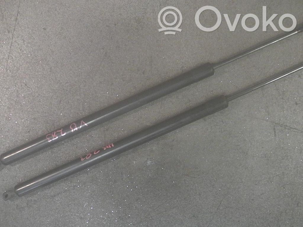 Volkswagen Transporter - Caravelle T5 Tailgate/trunk strut/damper 