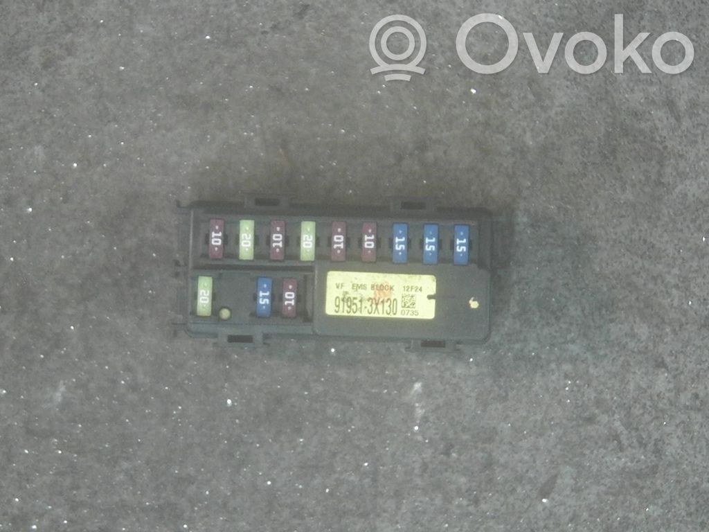 Sulakemoduuli   919513X130,919513X130