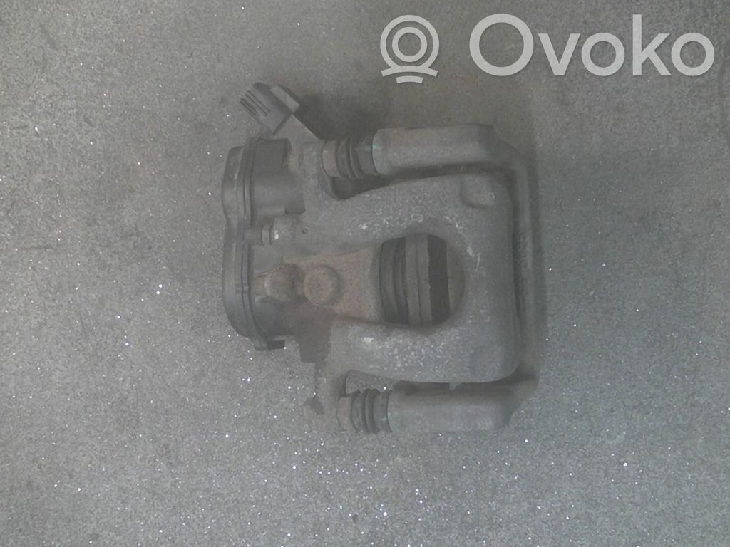 Takajarrusatula   GMY02661X