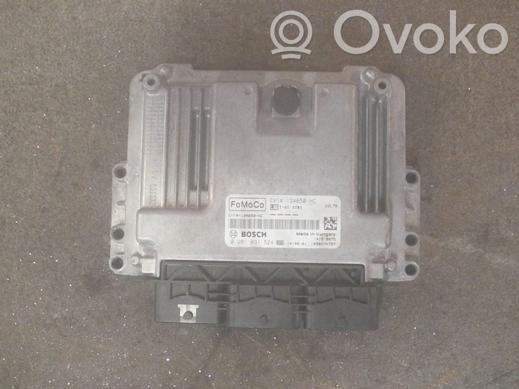 Engine control unit/module   CV1A12A650HC