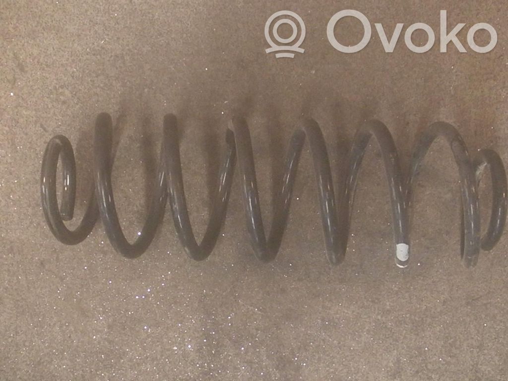 Rear coil spring   1859224