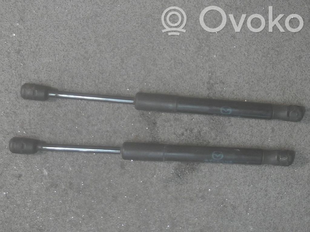 Vérin de capot arrière   2STK