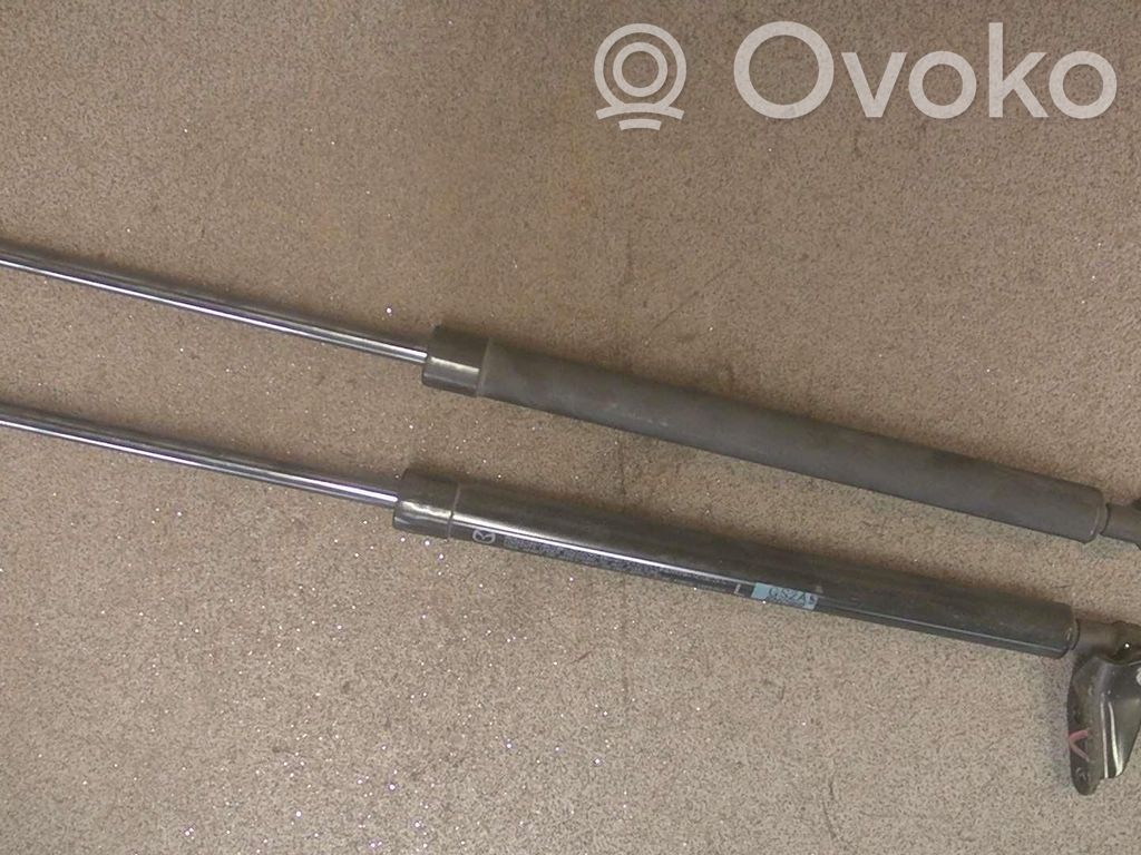 Tailgate/trunk strut/damper   2STK