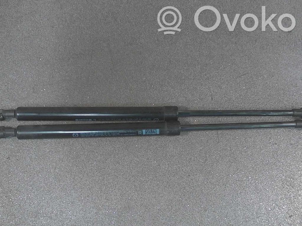Tailgate/trunk strut/damper   2STK