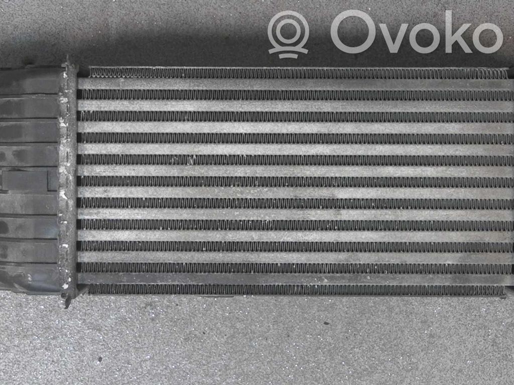 Peugeot 207 Intercooler radiator 
