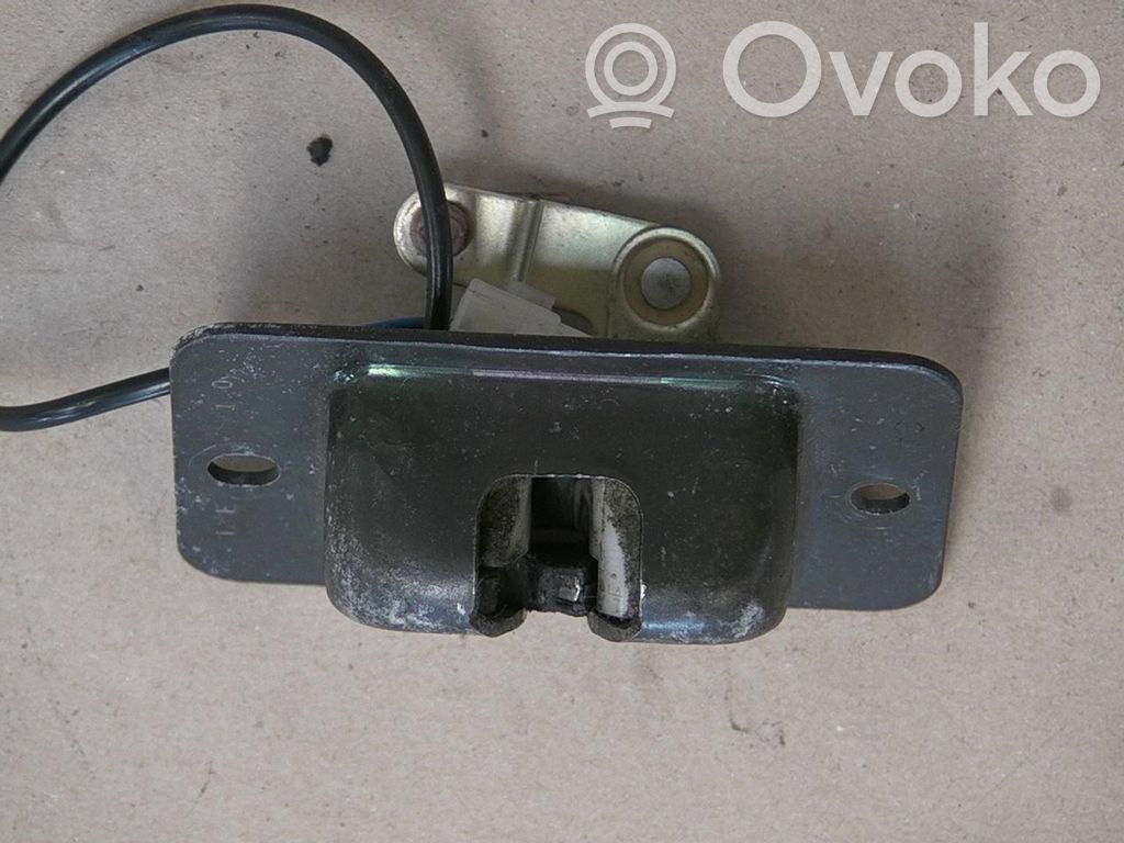 Loading door lock   STCAR