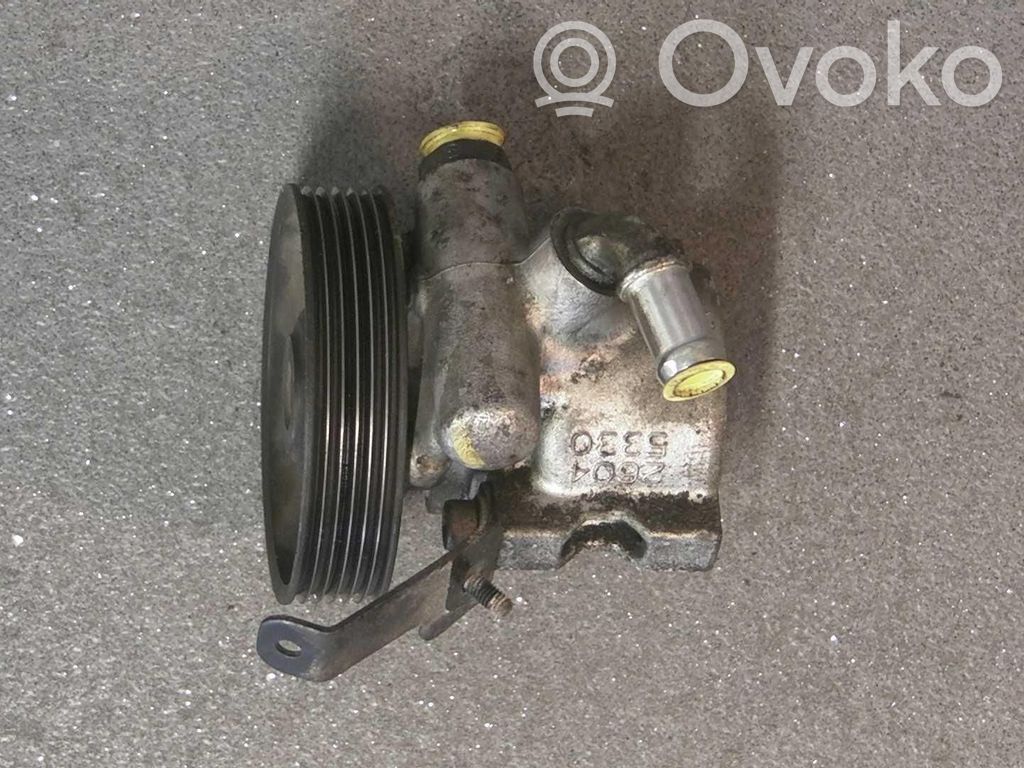 Servopumpe
