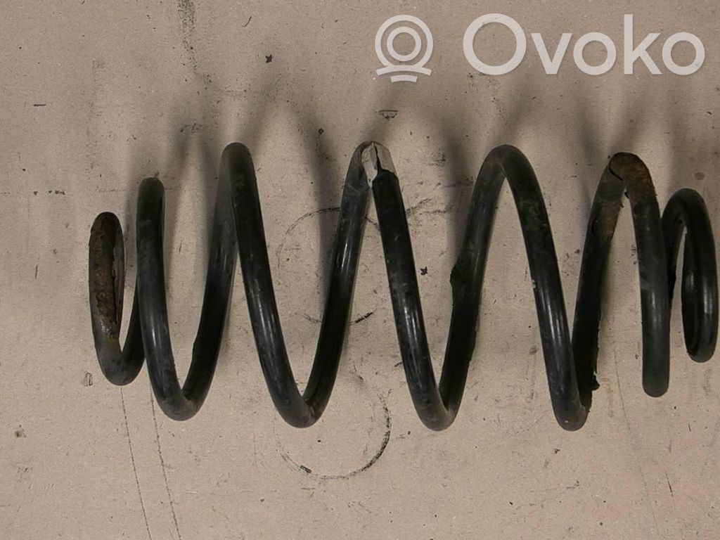 Rear coil spring