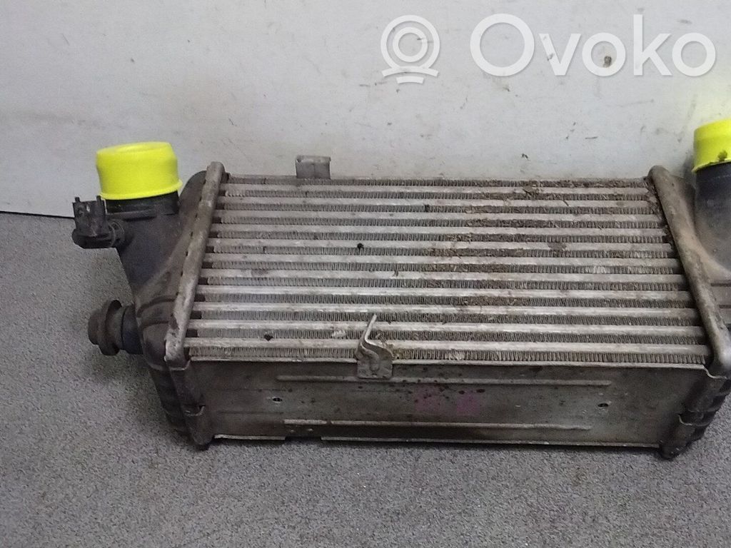 Intercooler radiator   282712A640