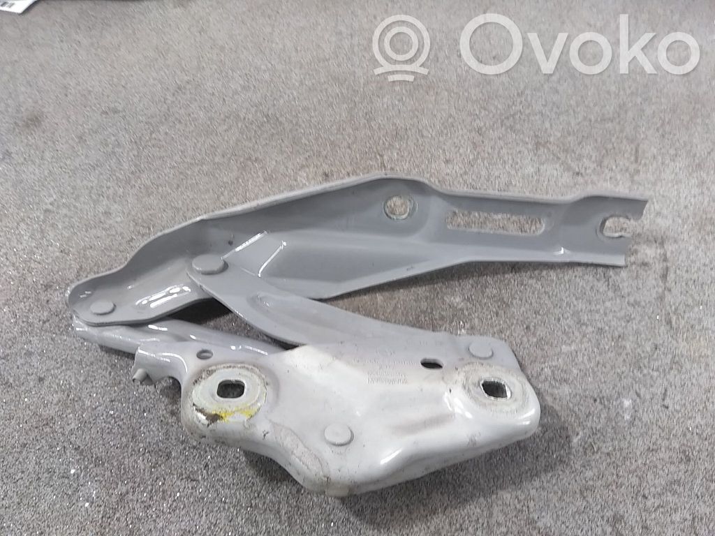 Skoda Scala Balamale capotă 