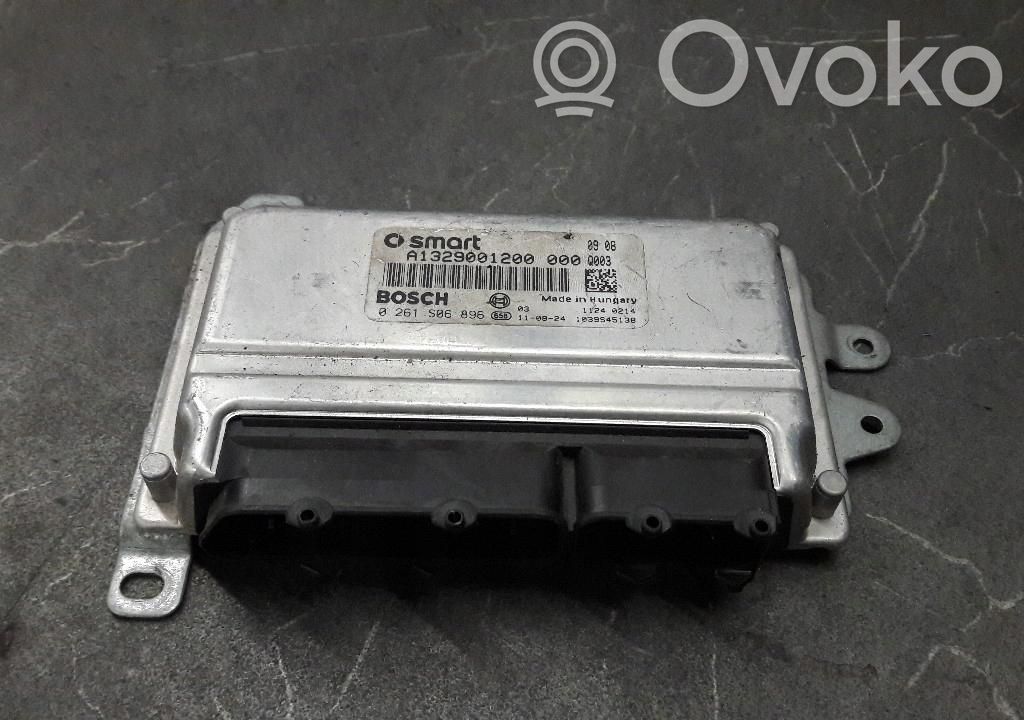Engine control unit/module ECU   0261S06896