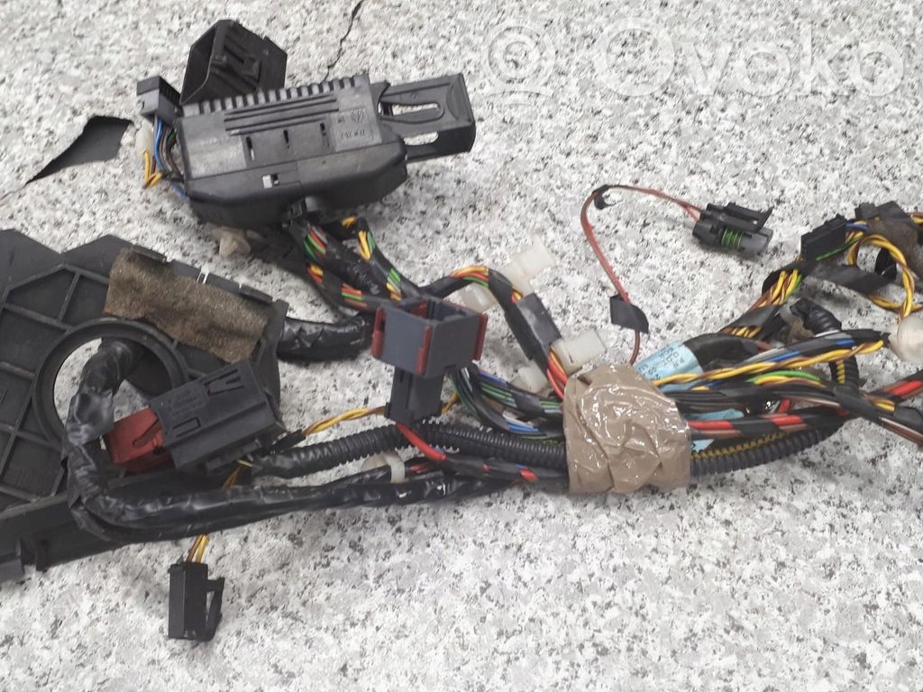 Cableado de puerta delantera   24419031