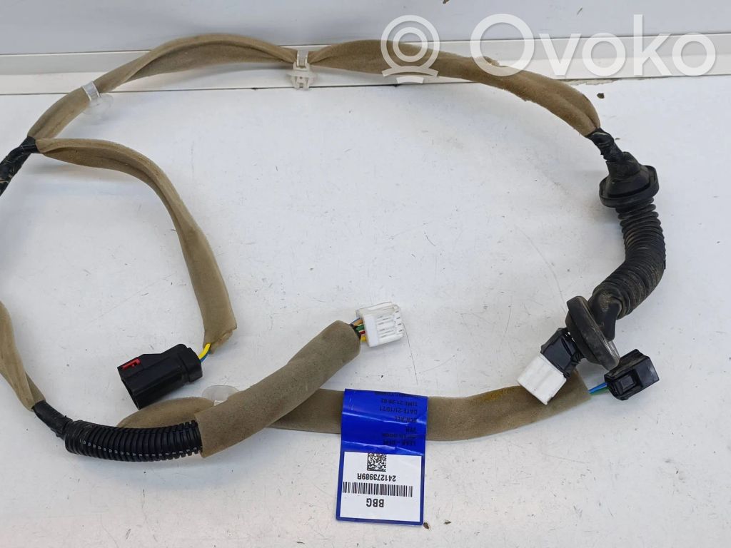 Cableado de puerta trasera   241273989R