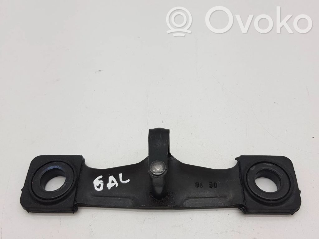 Volkswagen Tiguan Trunk lock loop 