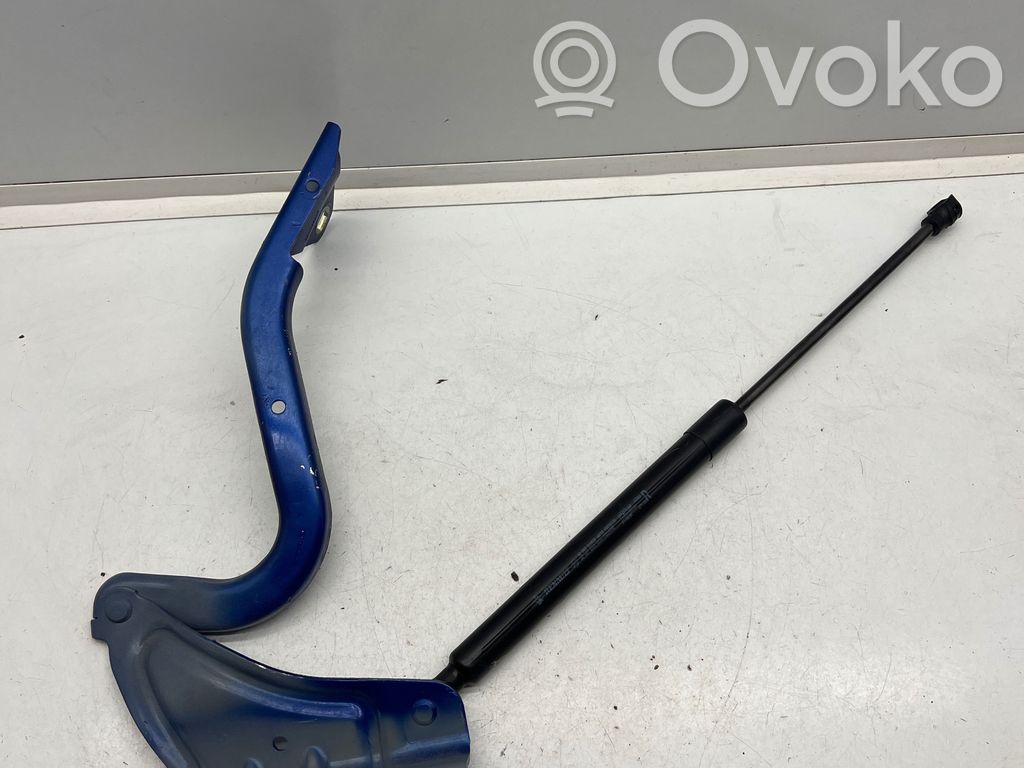 Renault Megane IV Engine bonnet/hood hinges 