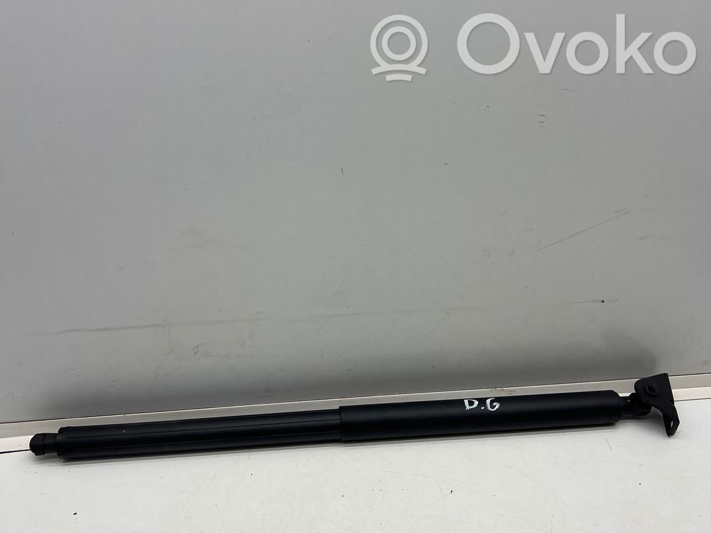 Ford Edge II Tailgate/trunk strut/damper 