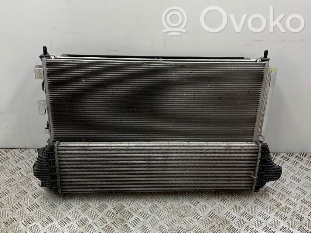 Ford Focus Radiator set 