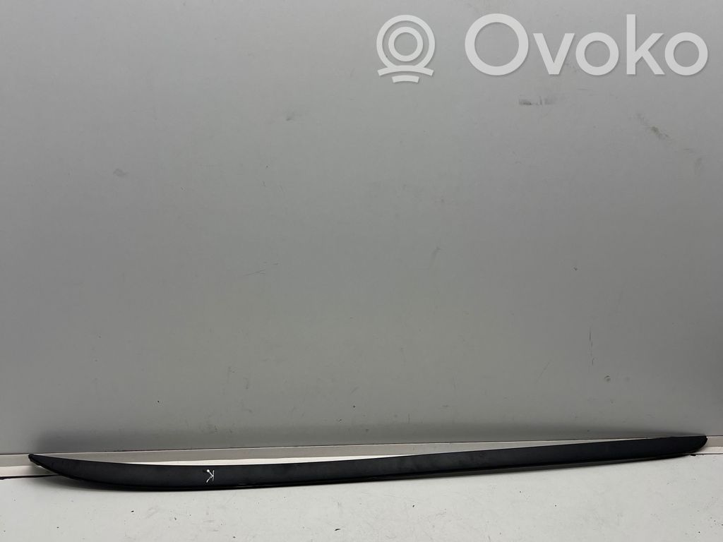 Ford Focus Windshield trim 