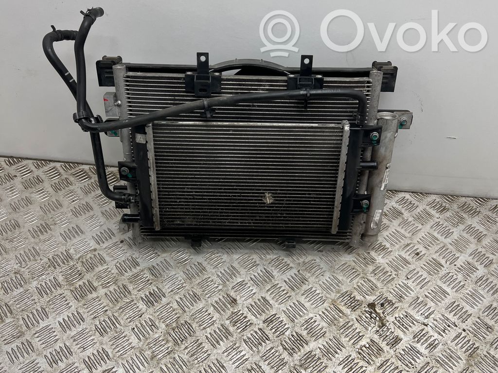 Kit Radiateur   214814715R,SJ300PS28,2019F1217,214109411R,217410724R,217411104R,921005444R