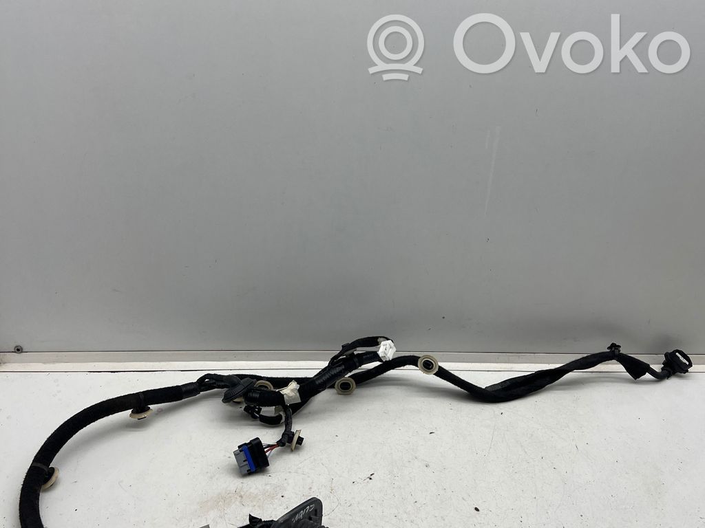 Cableado de puerta trasera   241262814R,0E0000,19314