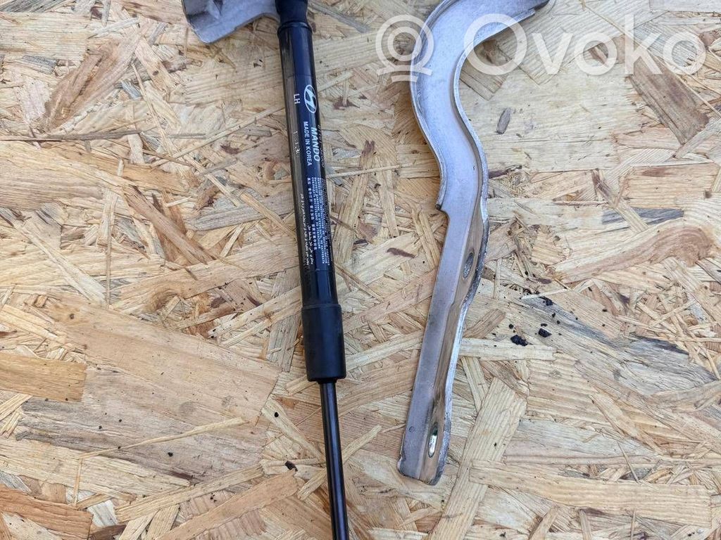 Engine bonnet/hood hinges   791103Z000,811613Z000