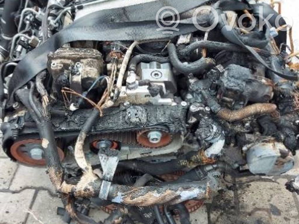 Engine swap   BVN